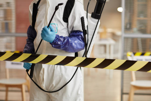Professional Sewage Cleanup technician working in Milford, NE